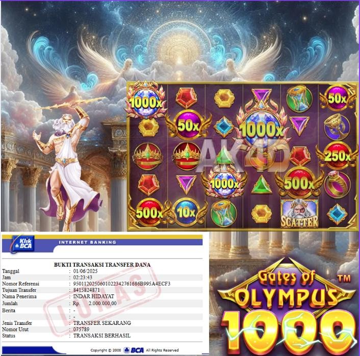 OLYMPUS 1000
